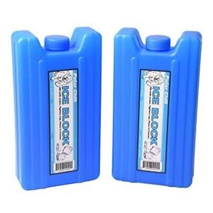Flasks Disguised as Ice Cooler Chillers Pack of 2 Party Decor Picnic Blue